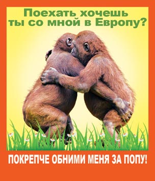Магнит виниловый. Открытки оптом