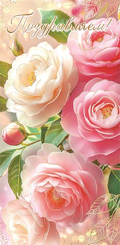 �����������! (��). �������� �����