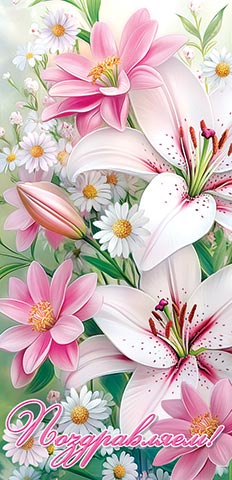 �����������! (��). �������� �����