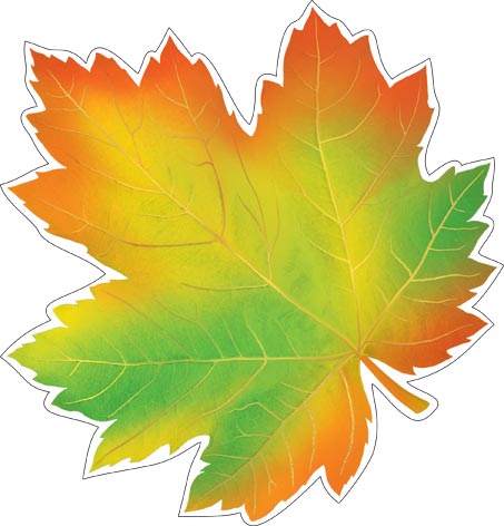 �������� ��� ��������� �� ������. �������� �����