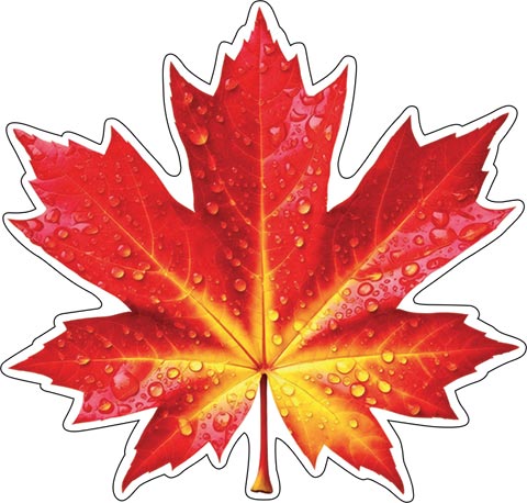 �������� ��� ��������� �� ������. �������� �����