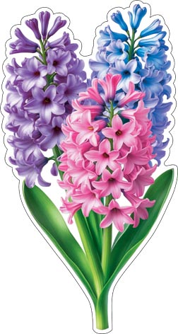 �������� ��� ��������� �� ������. �������� �����