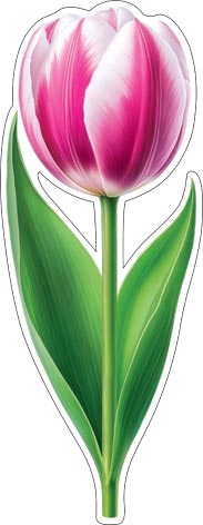 �������� ��� ��������� �� ������. �������� �����